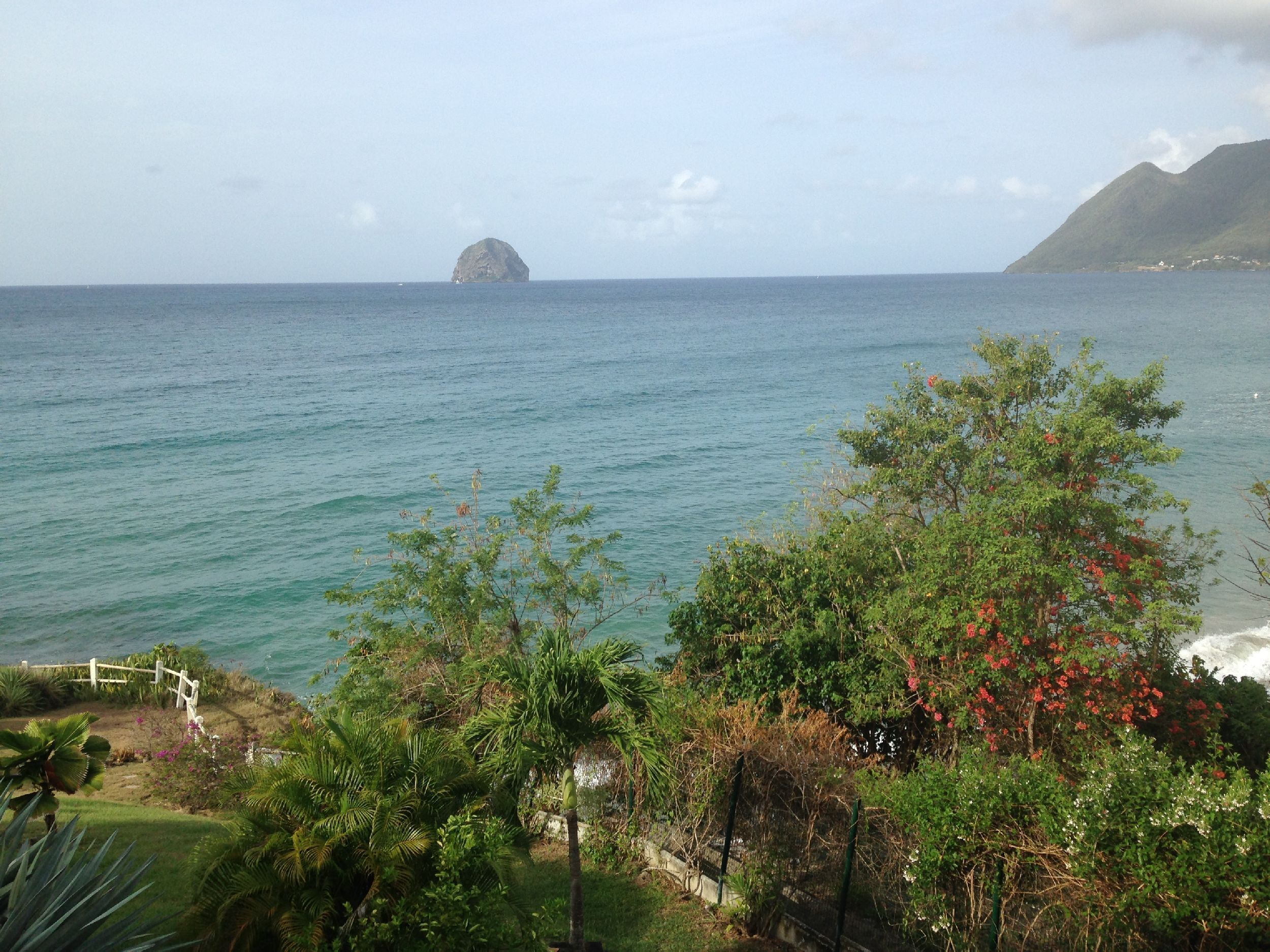 Paisaje costero con vista al mar, una pequeña isla y abundante vegetación.