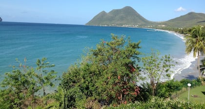 Hervorragende T3 von 85m2 Fuß im Wasser Große Terrasse mit Meerblick