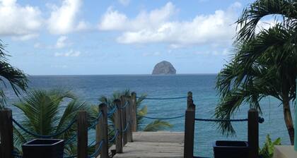Superbe T3 de 85m2 les pieds dans l'eau Grande terrasse vue mer