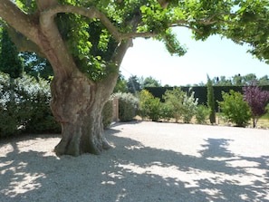 Property grounds - Mazet provencal with pool in Saint Remy de Provence (Saint-Rémy-De-Provence)