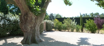 Mazet provencal with pool in Saint Remy de Provence
