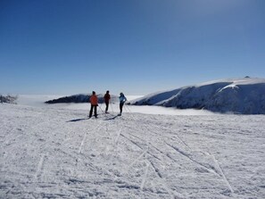 Snow and ski sports