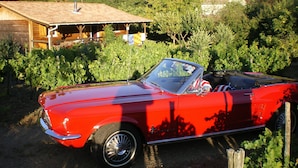 A red vintage convertible car parked in a rural setting with a wooden house and lush greenery in the background. - Chalet Cévennes, France, Gard, Ardèche, pool, calm, large garden, activities (Le Martinet)