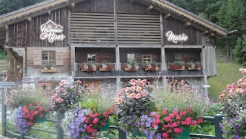 Ulkopuoli