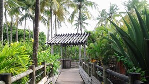 Un sendero de madera que conduce a una estructura cubierta, rodeada de abundante vegetación y altas palmeras.
