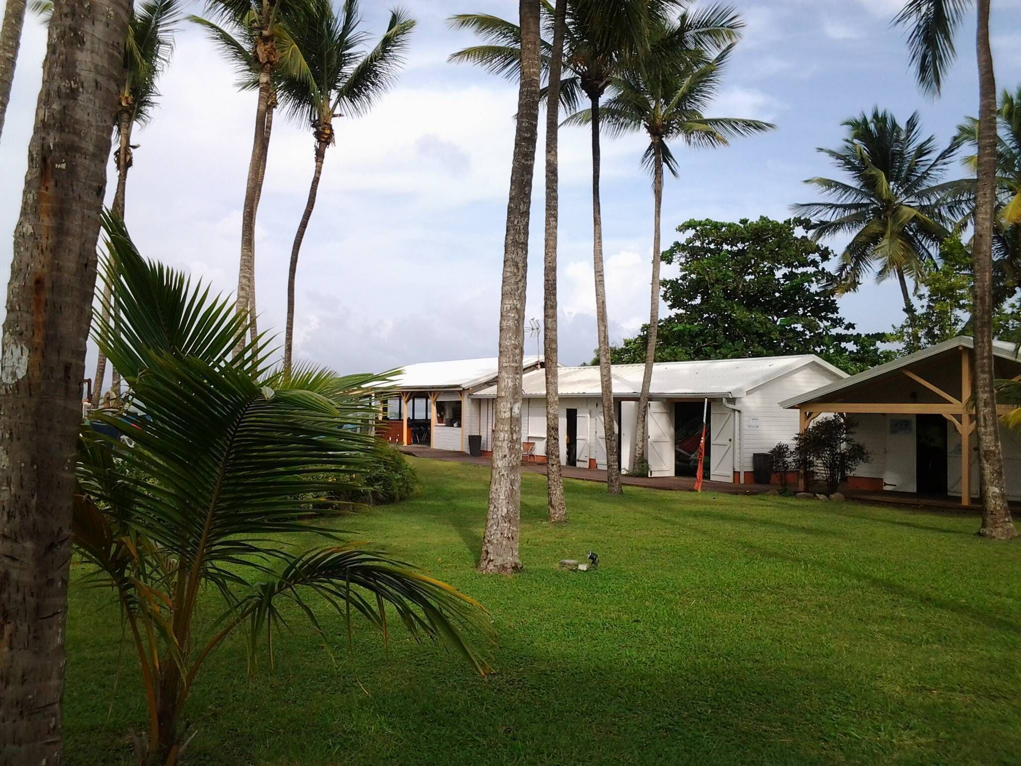 Un bâtiment de style bungalow doté d’un porche abrité, entouré de palmiers et d’une pelouse bien entretenue.
