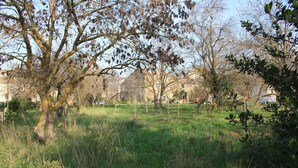 Un campo erboso con alberi e case sullo sfondo.