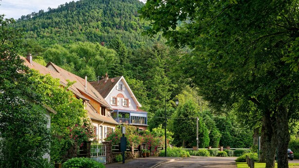 Una casa tradicional europea con techo inclinado, rodeada de exuberante vegetación y un paisaje boscoso.