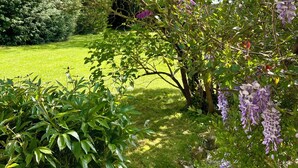 A garden with purple wisteria vines, green grass, and dense shrubbery.