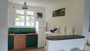 Une cuisine avec une fenêtre, un réfrigérateur, un évier et un plan de travail agrémenté de plantes.