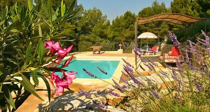 South-facing Provencal villa. Dominant view. Swimming pool open from April to October