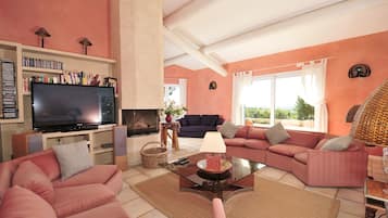 TV, fireplace, DVD player, books
