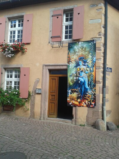 90m2 gîte coconing, between Colmar and Strasbourg, on the beautiful Route des Vins