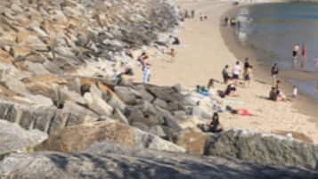 Plage, chaises longues