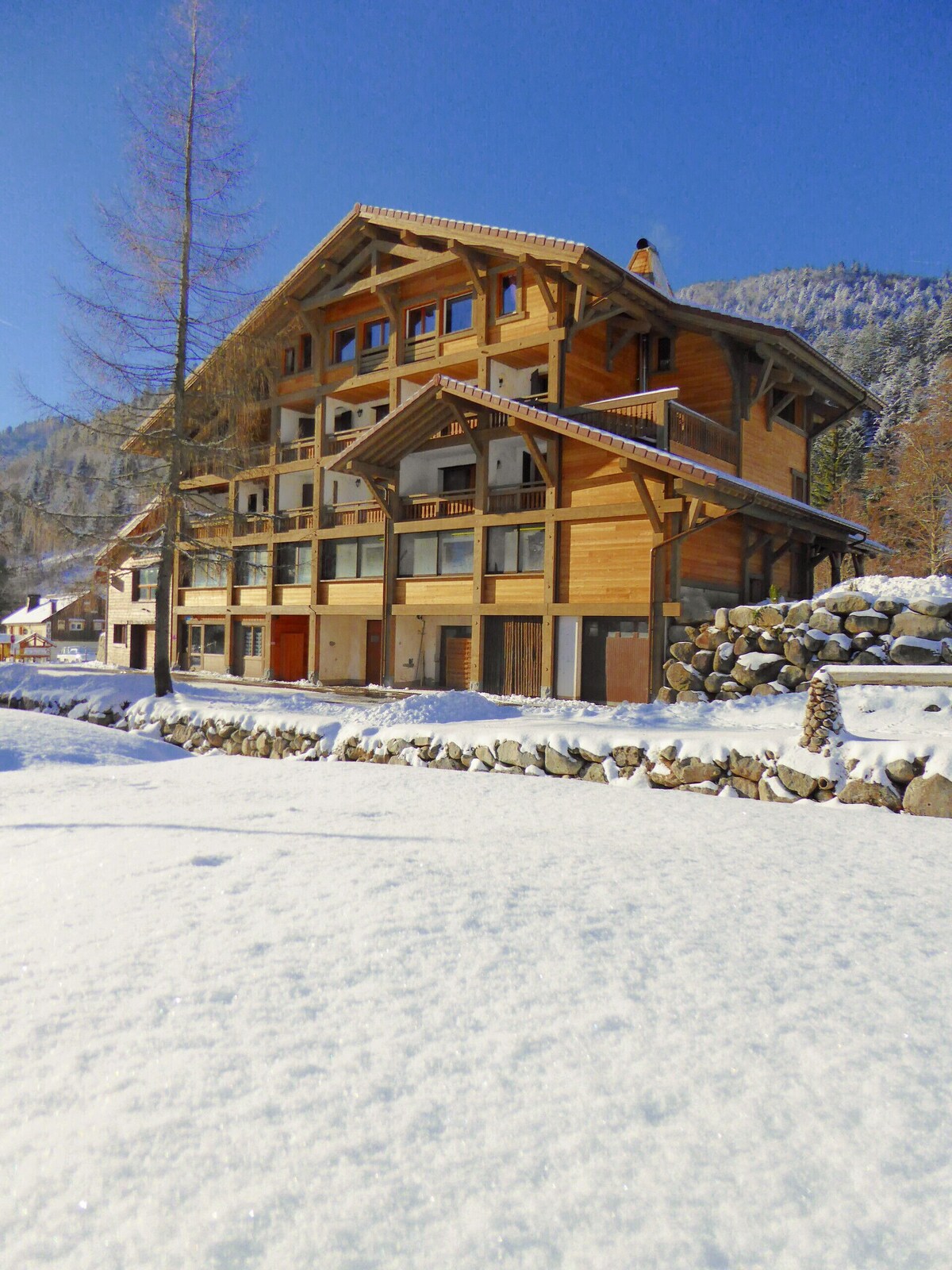 Image de profil de l’hôte