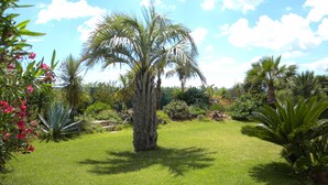 A well-maintained garden with a central palm tree, surrounded by various tropical plants and a wooden deck. - Direct access to the beach, swimming pool, 8 people, modern 5-star villa (Sète)