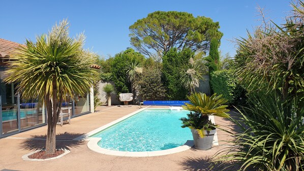 A swimming pool surrounded by various plants and trees, with a clear blue sky above.