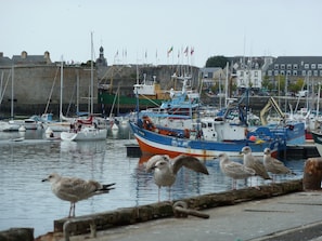 Marina - Apartment with garden, 63 m2, near beach and town, quiet and enclosed (Concarneau)