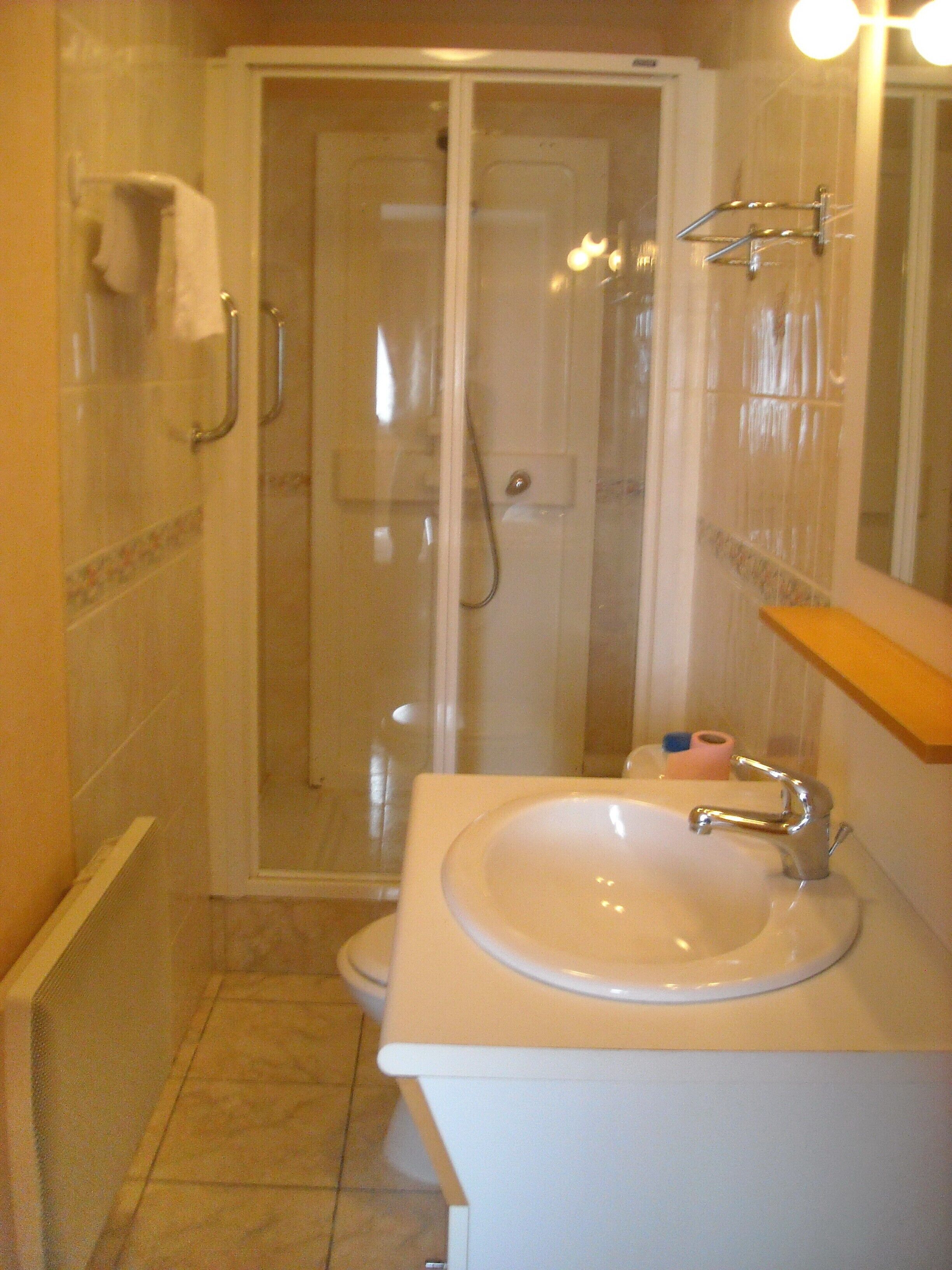 Shower, hair dryer