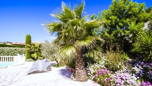 Un giardino con una palma, fiori e una piscina.