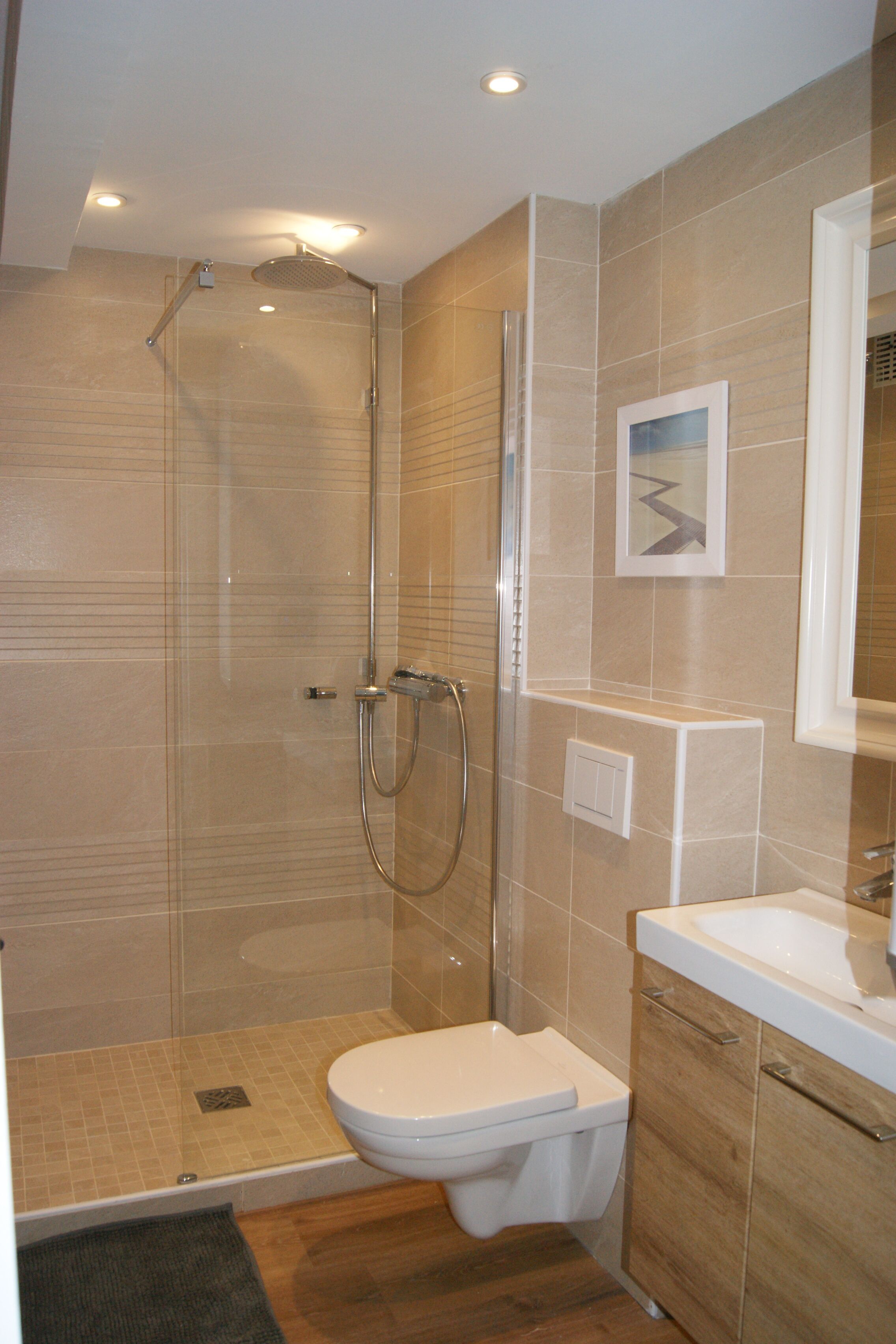 Shower, hair dryer, toilet paper