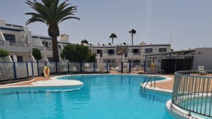 Una piscina azul cristalina con una palmera, una silla de salvavidas y una zona delimitada por una valla.