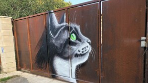 A metal gate with a mural of a cat's face. - House made of regional stones, typical from Auvergne, greenery landscape (Gouttières)