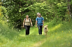 Overnatningsstedets område