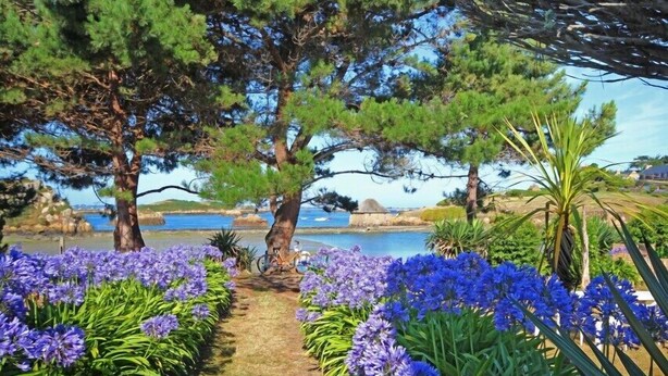 Un sendero bordeado de flores púrpuras que conduce a una vista panorámica de una playa y árboles.