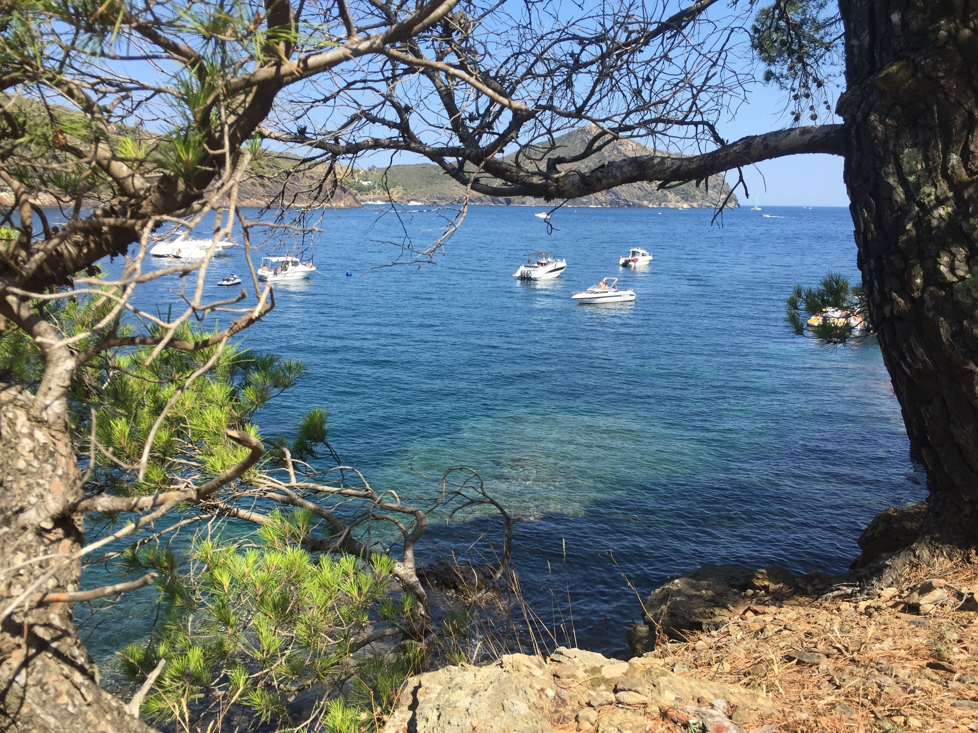 A coastal view with boats on the water, rocky terrain, and pine trees.