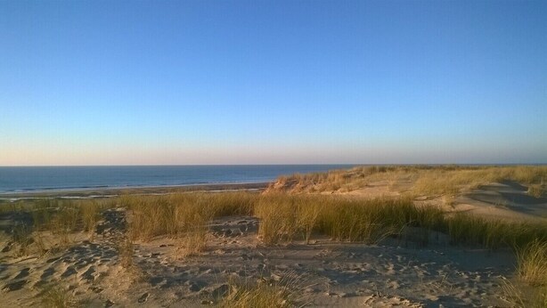 Eine Küstenlandschaft mit Dünen und blauem Himmel.