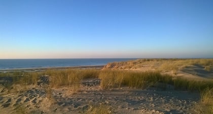 Seaside, La Palmyre pretty 8-9 P villa in quiet enclosed grounds Poitou Charente