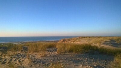 Seaside, La Palmyre pretty 8-9 P villa in quiet enclosed grounds Poitou Charente