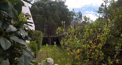 Seaside, La Palmyre pretty 8-9 P villa in quiet enclosed grounds Poitou Charente