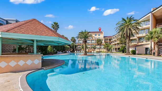 Una piscina con solárium empedrado, sillas de descanso y palmeras.