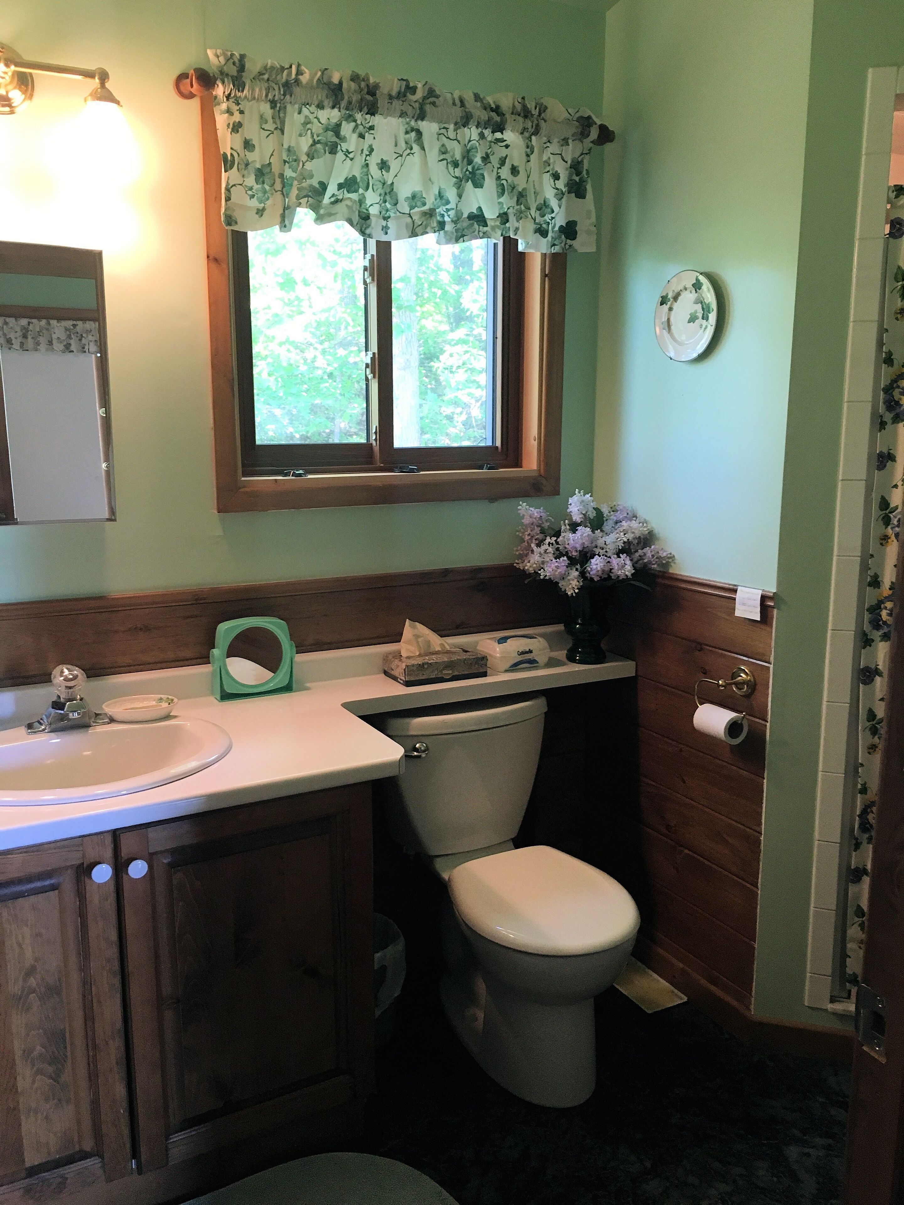 A bathroom with a toilet, sink, and window.