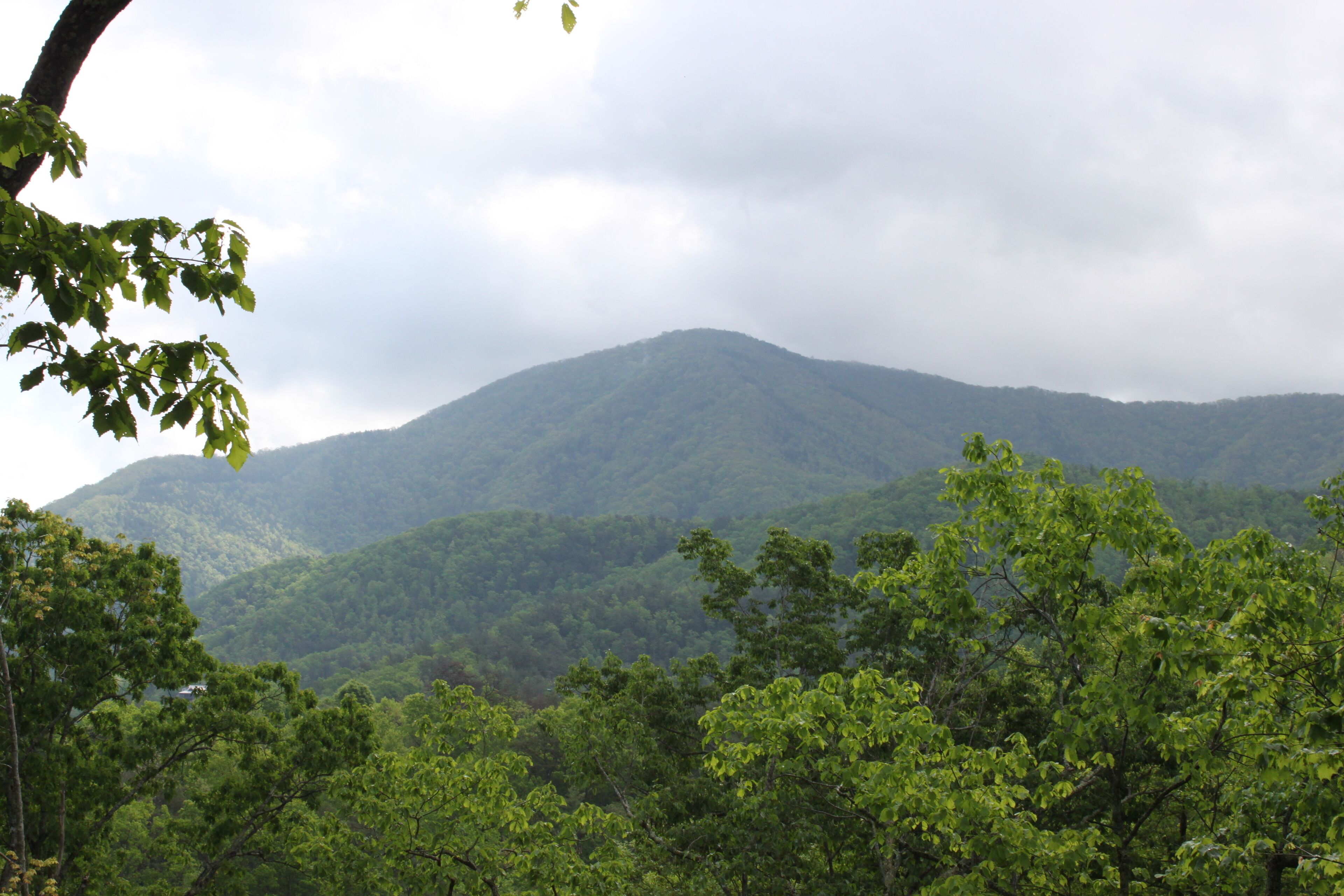 Top 10 Cabin Rentals In Walland, Tennessee Updated 2023 Trip101