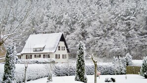 Een huis met een schuin dak, omringd door met sneeuw bedekte bomen en struiken.