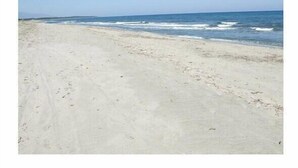 Ein Strand mit sandigem Ufer und freiem Blick auf den Ozean.