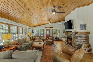 TV connectée, cheminée, lecteur de DVD, livres