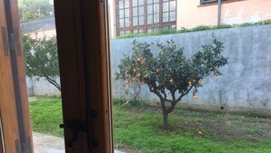 A view through a wooden door of a courtyard with a tree bearing fruit, a concrete wall, and a building in the background. - Cefalù Appart 4 (Cefalù)