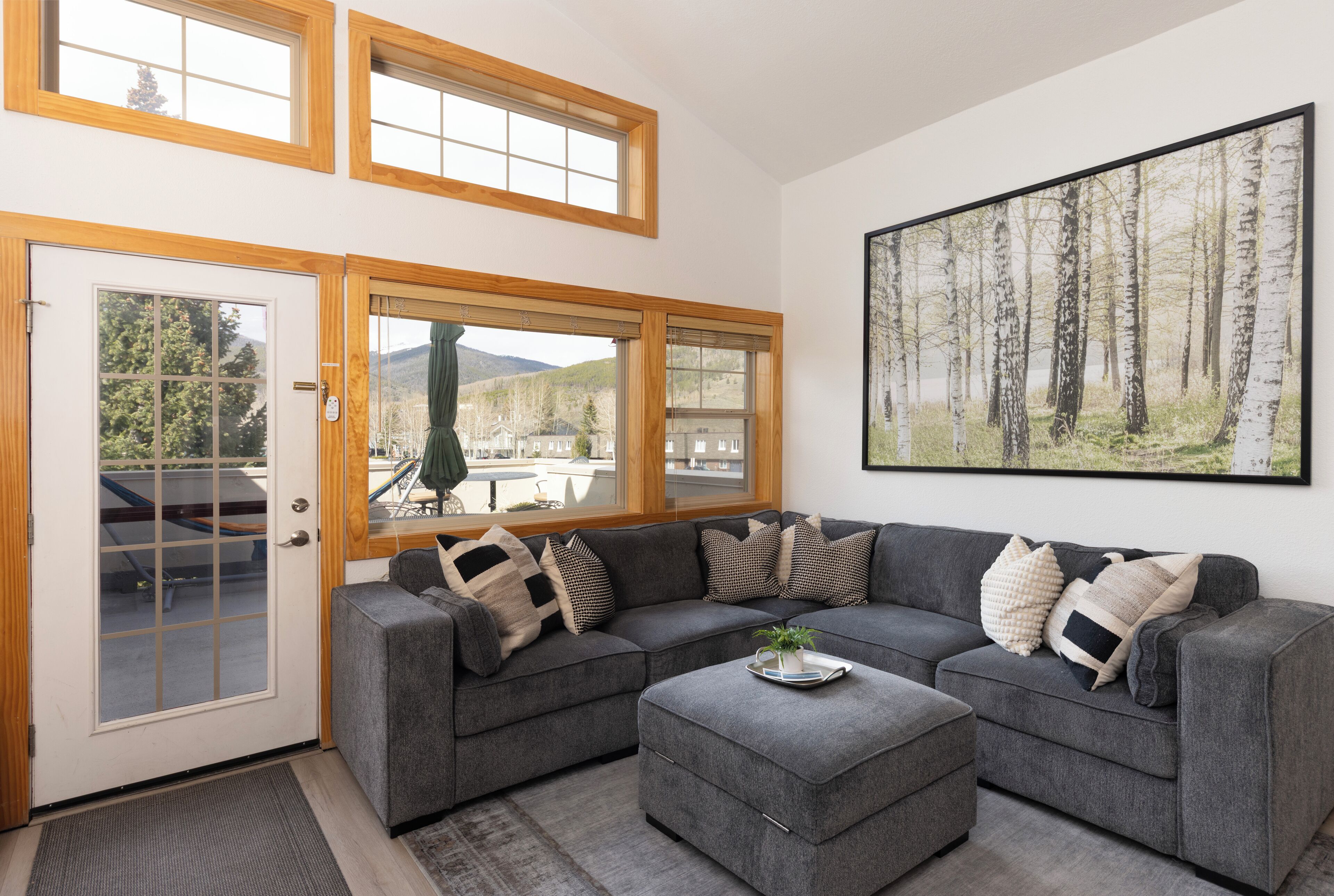 TV connectée, cheminée, lecteur de DVD, livres