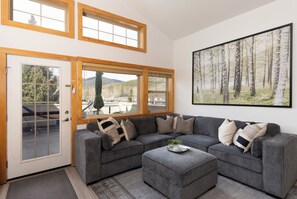 Smart TV, fireplace, DVD player, books