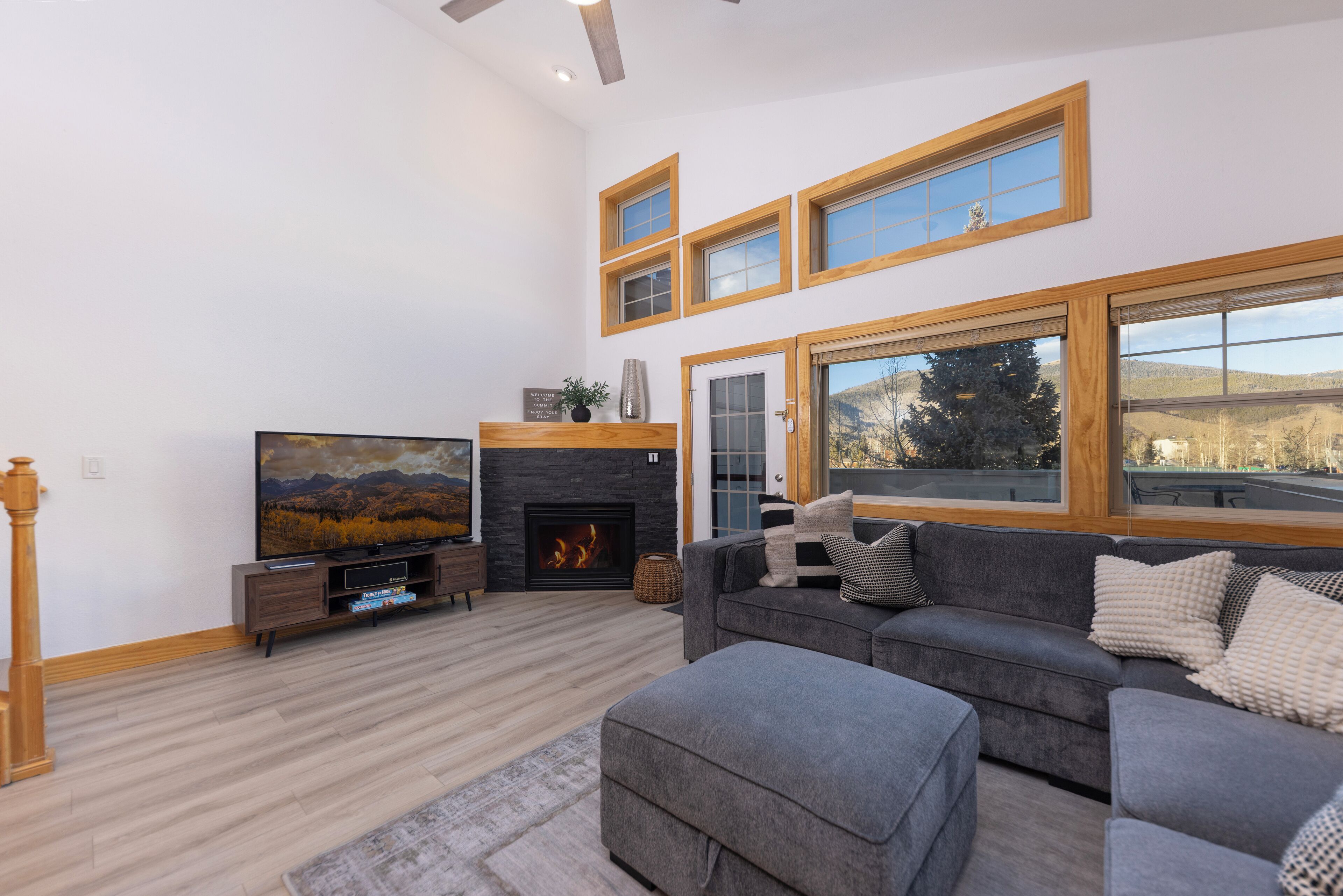 Smart TV, chimenea, reproductor de DVD, libros