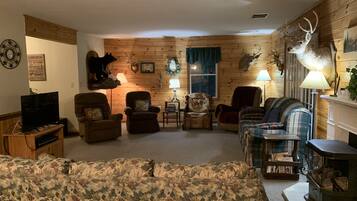 Smart TV, chimenea y reproductor de DVD