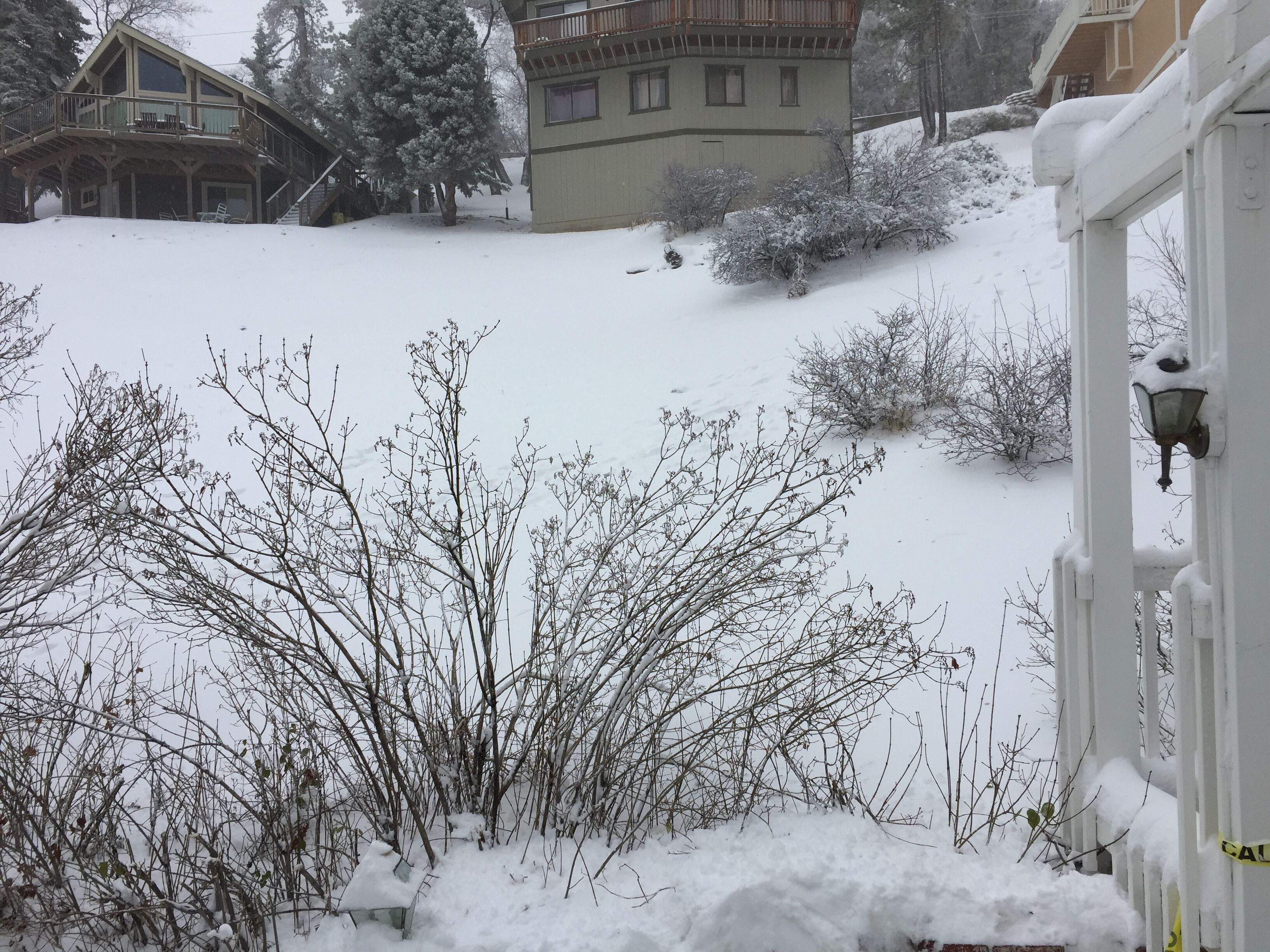 Our backyard slope is an amazing spot for snow play.