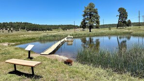 Property grounds - Enchanting & rustic & unique adorned local artwork throughout. 200 specials! (Flagstaff)