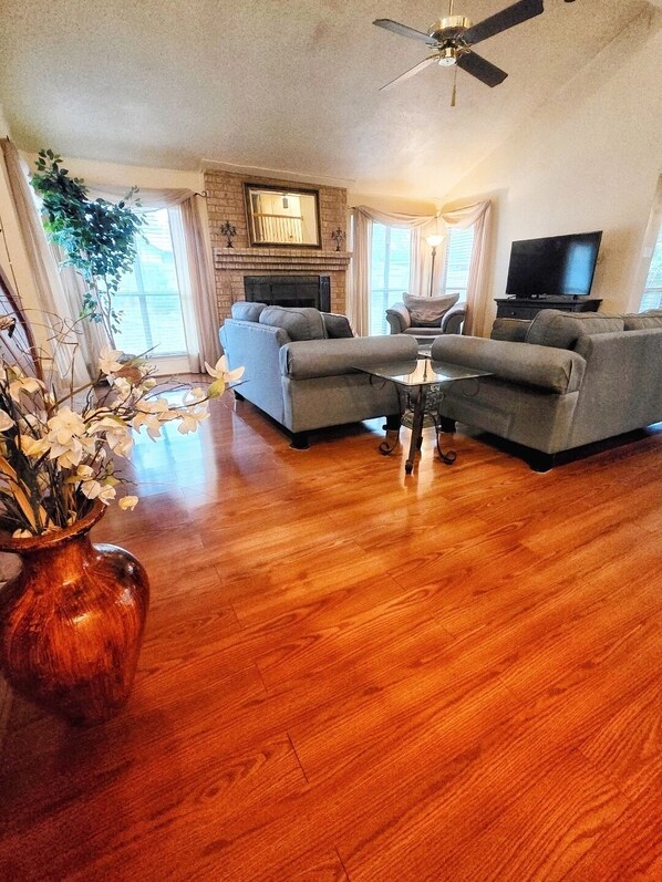 Smart TV, DVD player, books, video library