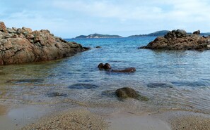 Plage à proximité