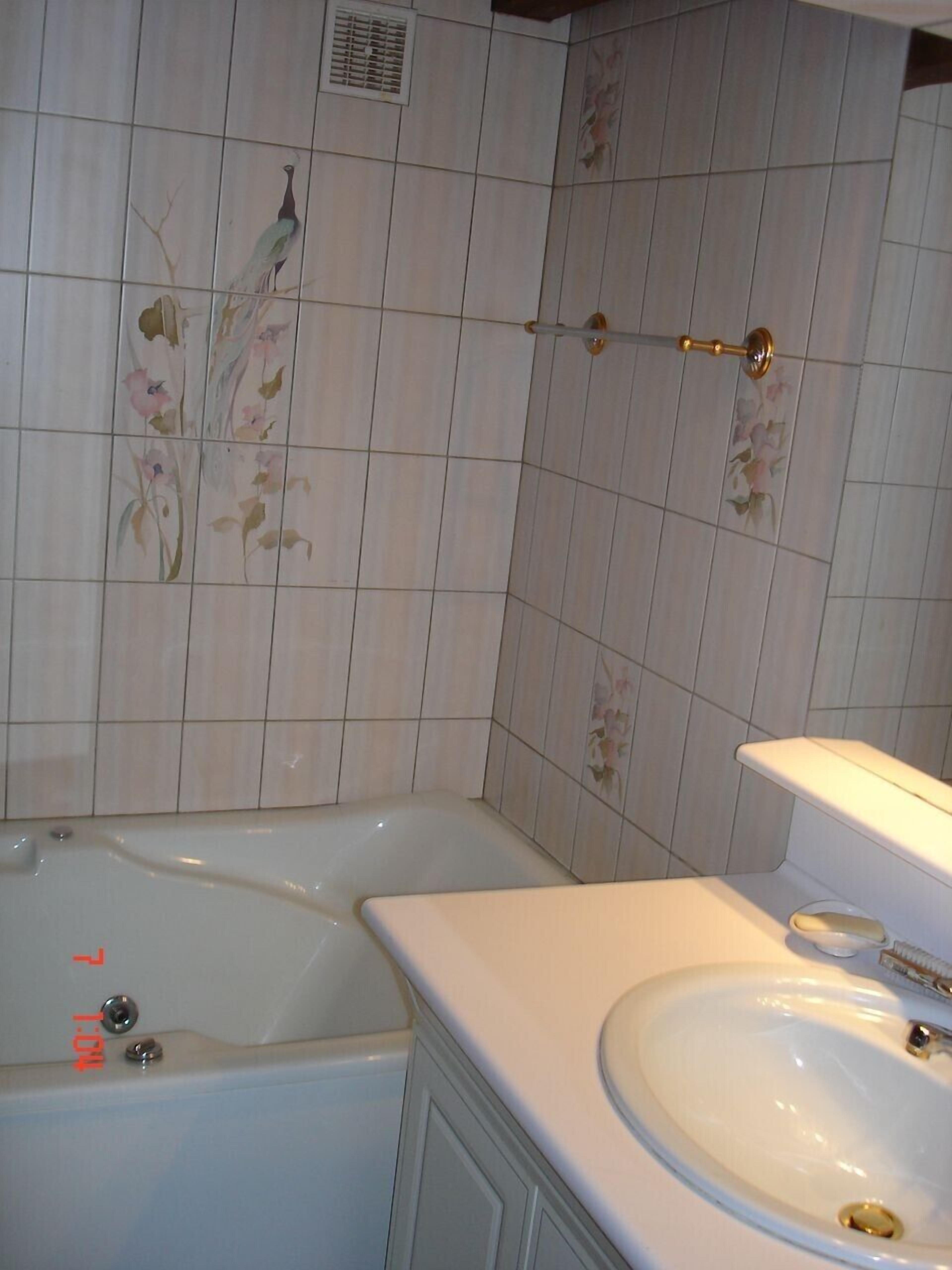 Bathtub, hair dryer, bidet, towels